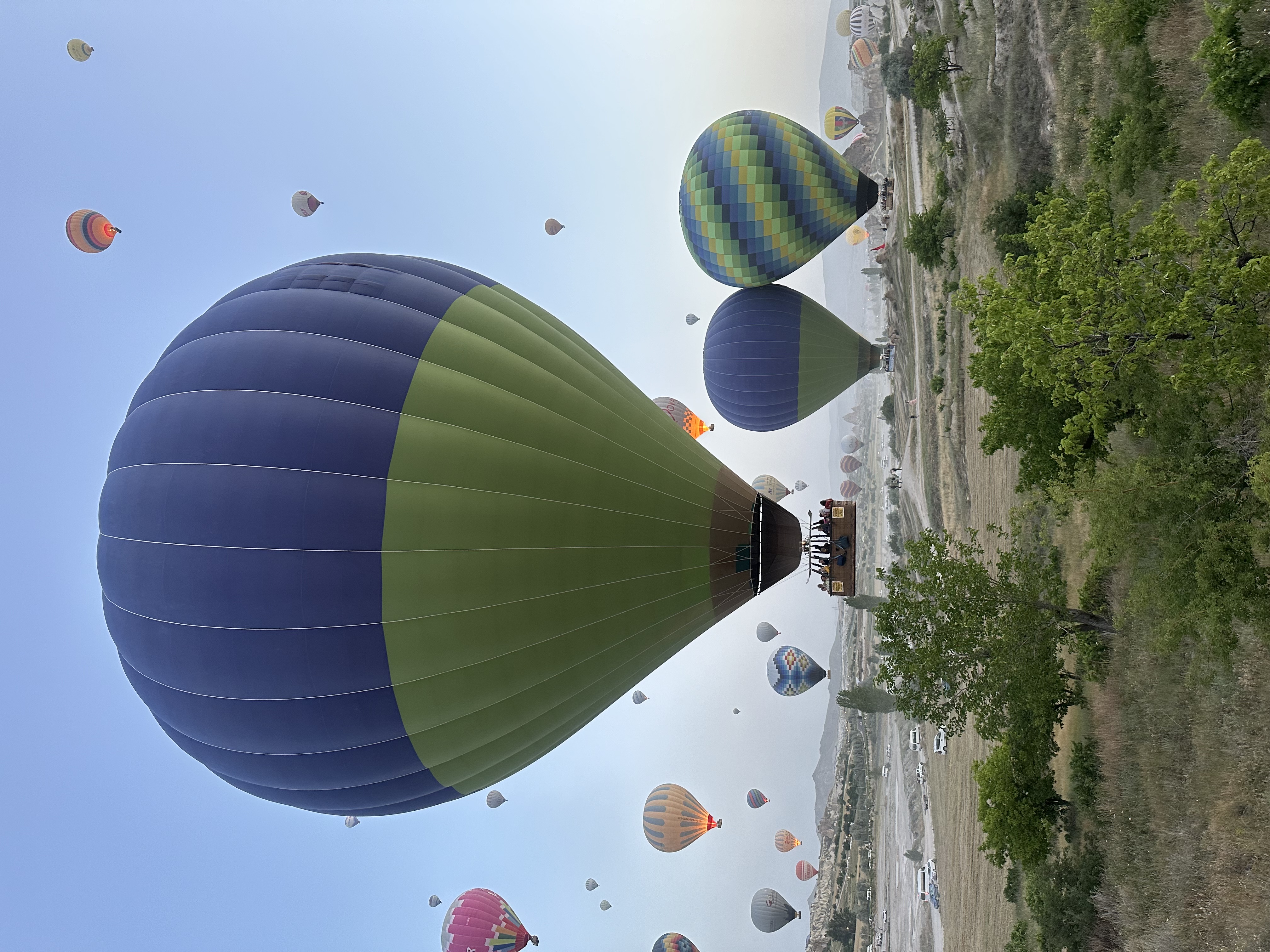 Divine Travel Agency