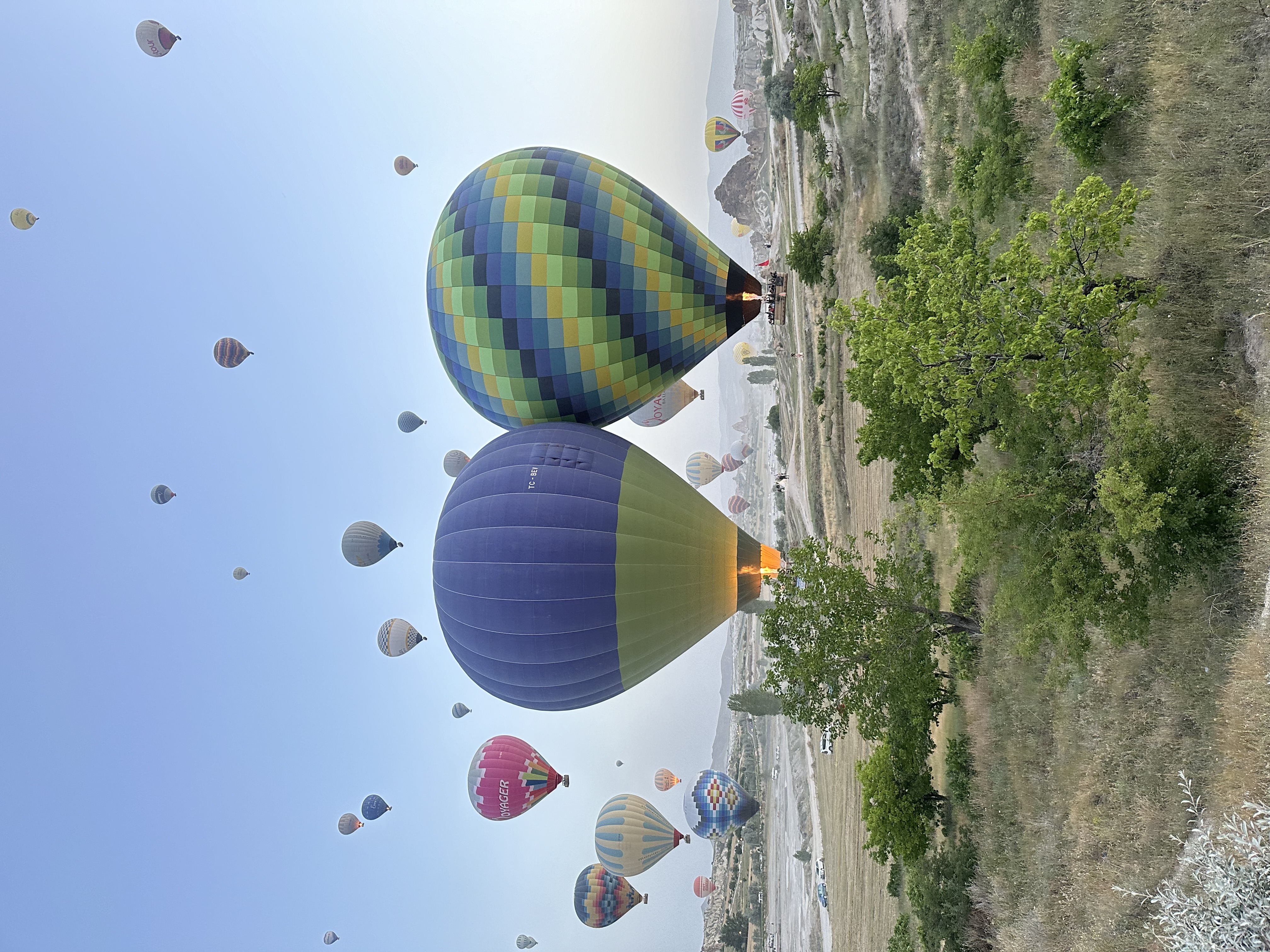 Divine Travel Agency